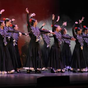 Fotografía de Talleres Danza Española (galería 2) - Conservatorio de Danza